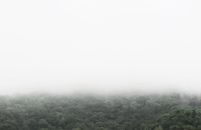 1651 Gold Regenhose Luzi de Beaufort