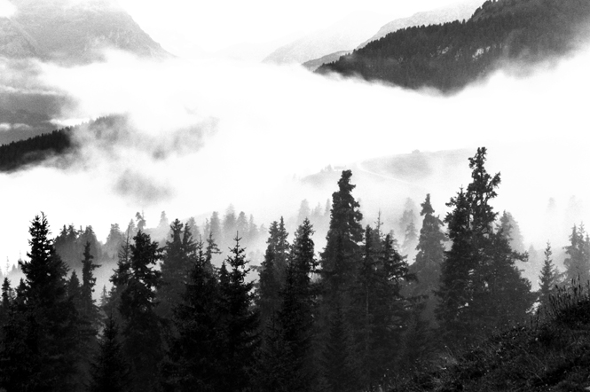 6852 Belfieu Parka Luzi de Beaufort