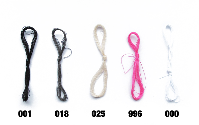 8717 hommage Luzi de Beaufort