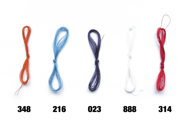 8717 hommage Luzi de Beaufort