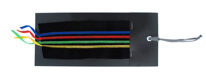 8717 hommage Luzi de Beaufort