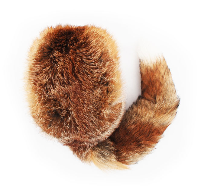 9514 Lica Luzi de Beaufort